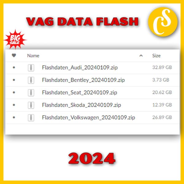 ODIS Engineering Flashdaten Files 2024 For Programming (1)