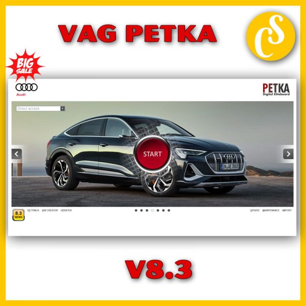 petka-8-3-audi-vag-porche (1)